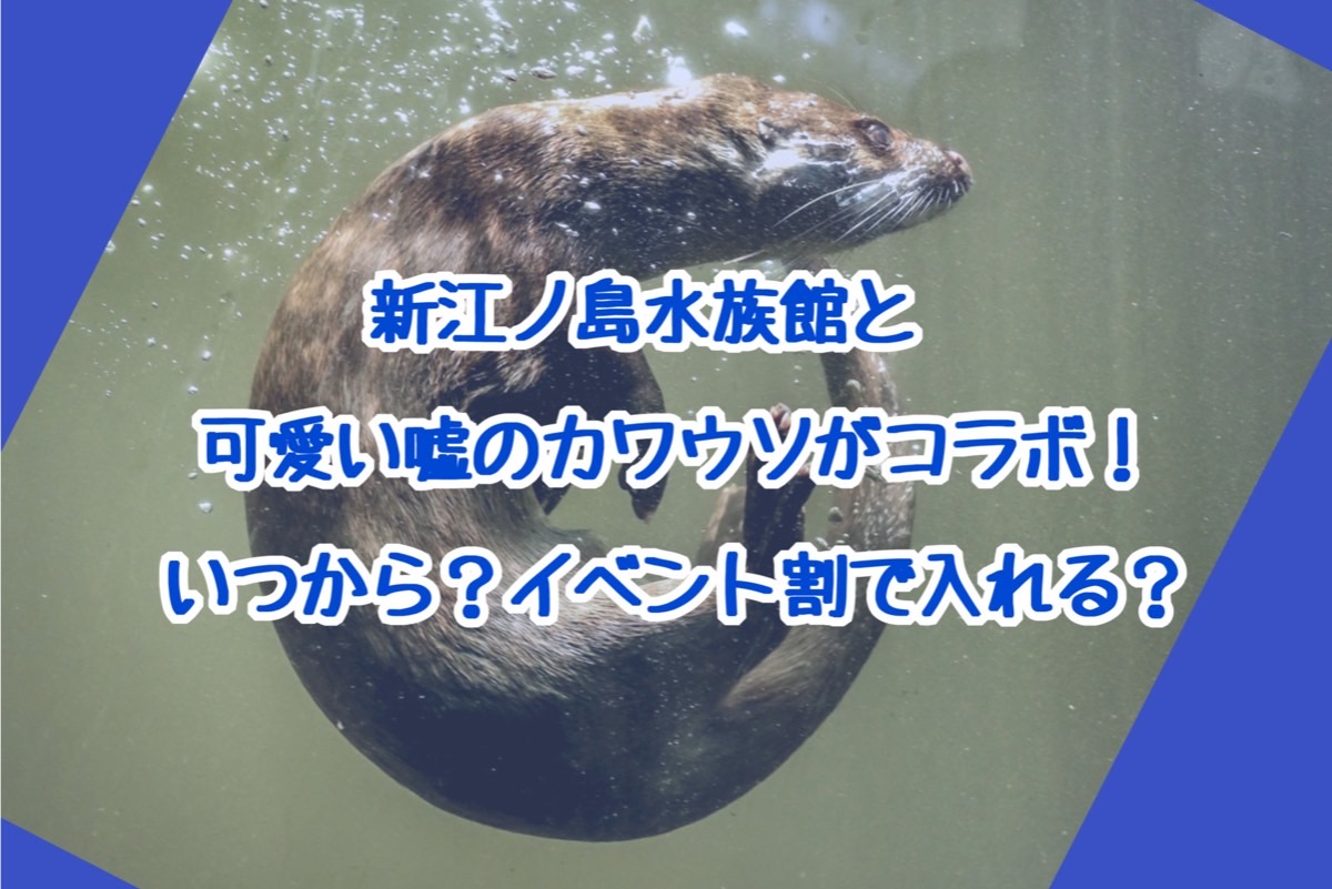 江ノ島水族館 カワウソぬいぐるみ特賞 値下げしました-