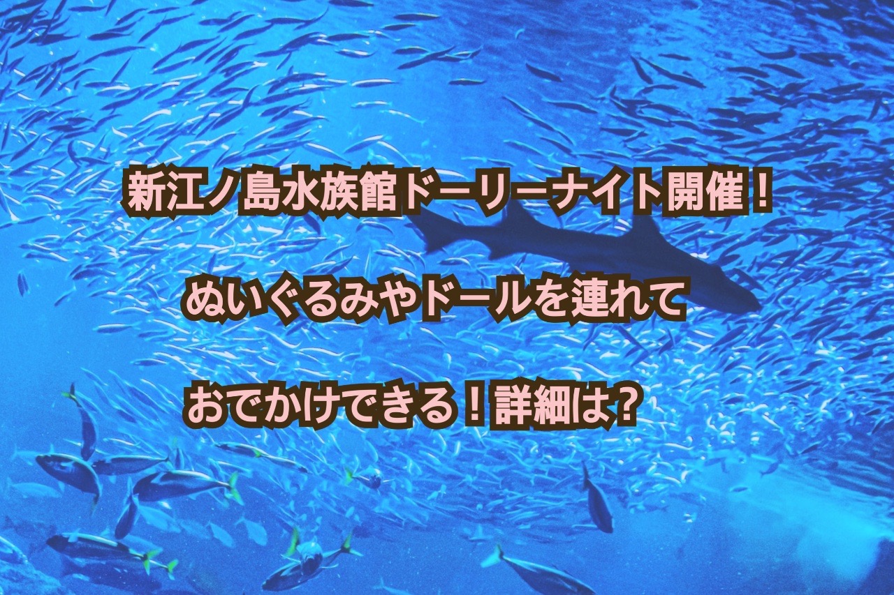 最大96％オフ！ 可愛い嘘のカワウソ 新江ノ島水族館コラボ 第2弾 えのすい